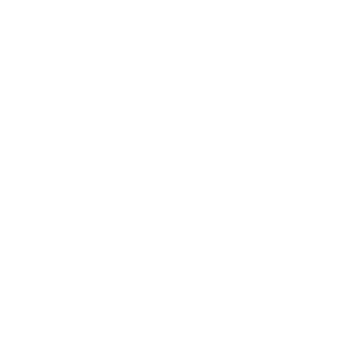 International Journal of Surgery